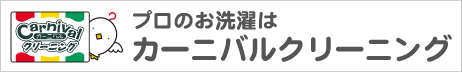 カーニバルクリーニング