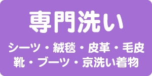 専門洗い