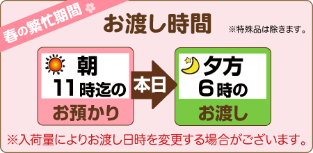  朝11時までのお預りで、当日夕方6時のお渡し（入荷量により変更あり）