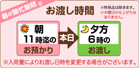 朝11時までのお預りで当日夕方6時のお渡し（木曜除く）