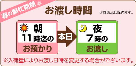 朝11時までのお預りで、当日夜7時のお渡し（入荷量により変動あり）