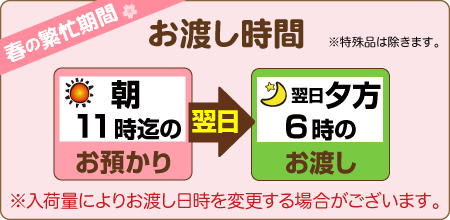  朝11時までのお預りで、翌日夕方6時のお渡し（入荷量により変動します）