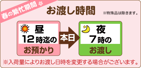 昼12時までのお預りで、当日夜7時のお渡し（入荷量により変動あり）