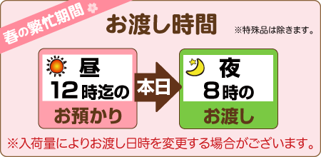 昼12時までのお預かりで夜8時のお渡し（入荷量により変動します）