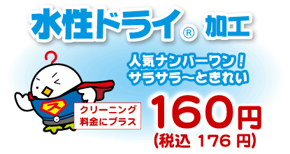 水性ドライ加工、プラス160円（税込176円）