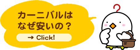 カーニバルはなぜ安いの？